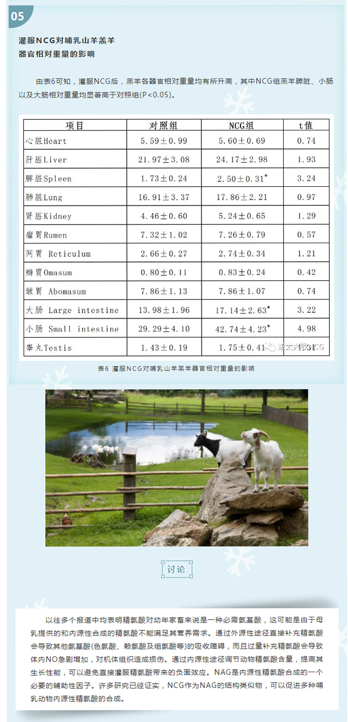 灌服NCG對(duì)哺乳山羊羔羊生長(zhǎng)性能、血液參數(shù)及器官重的影響_06