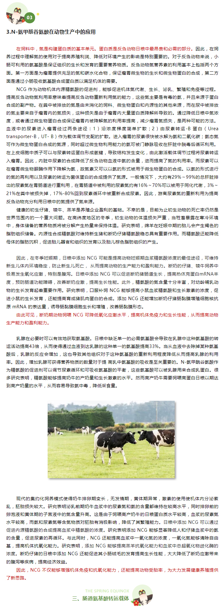 日糧中添加-NCG-對(duì)荷斯坦公牛氮營(yíng)養(yǎng)素利用的影響（下）_03