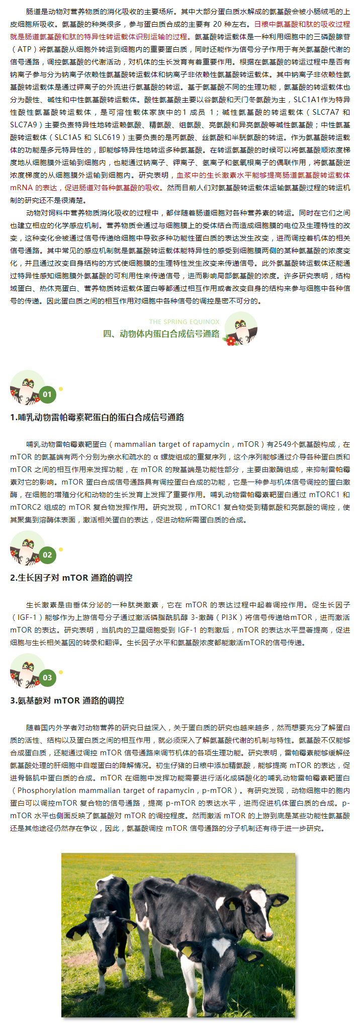 日糧中添加-NCG-對(duì)荷斯坦公牛氮營(yíng)養(yǎng)素利用的影響（下）_04