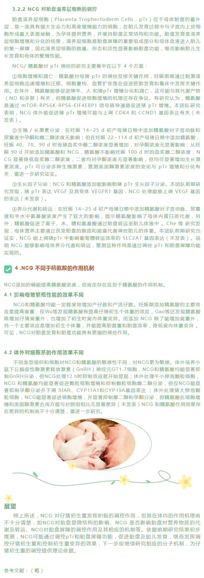 NCG在調(diào)控仔豬初生重中的應(yīng)用及其作用機(jī)理_03